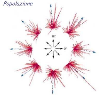 Si ha ovviamente una forte modulazione. 2) Gli interneuroni di tipo Ib sono inibitori, fanno capo alla cellula del riflesso inverso da stiramento cioè quel interneurone inibitorio che regola la forza.