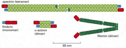 http://www.ncbi.nlm.nih.