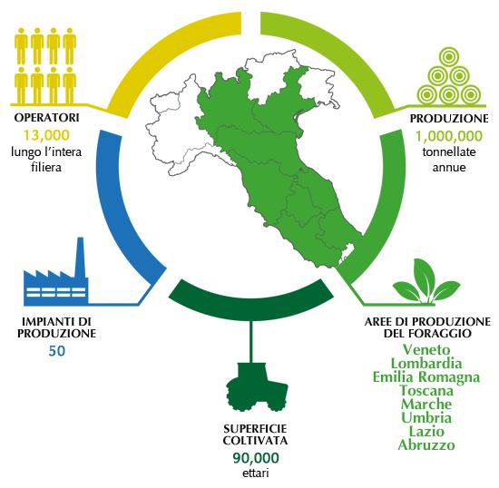 LE FUTURE ATTIVITÀ IN AMBITO CTI 12 Nuovo