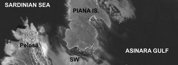 NORTH SARDINIA SANDY SHORE HUMAN IMPACT AND PRESERVATION: THE CASE OF LA PELOSA BEACH V. PASCUCCI 1, A. CARTA 1, S. ANDREUCCI 1 and S.