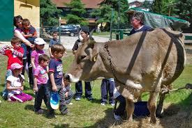 6.4.1 Creazione e sviluppo di attività extra-agricole (da parte di aziende agricole) Beneficiari: Agricoltori o coadiuvanti familiari dell agricoltore che diversificano la loro attività avviando