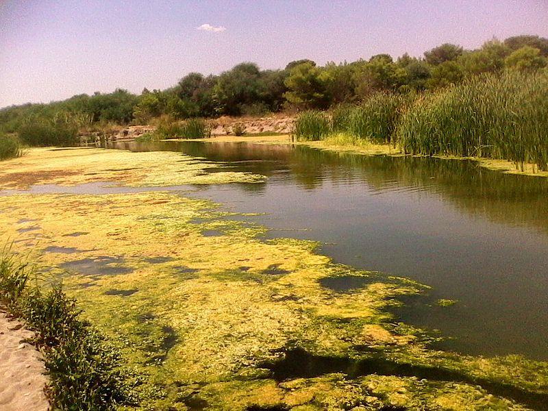 1. Trekking lungo gli ambienti dunali, retrodunali e