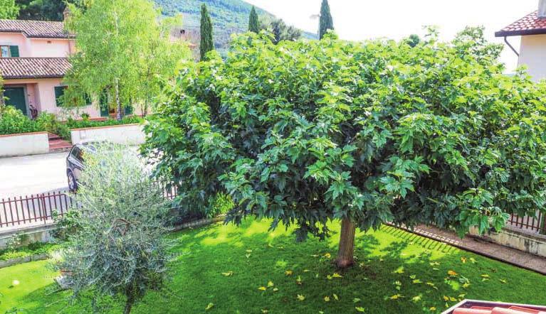 Ha inoltre due grandi terrazzi, un giardino privato con pozzo e impianto d irrigazione.