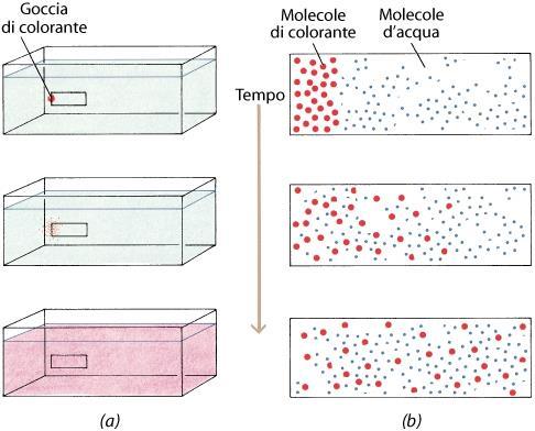 La costante agitazione termica delle molecole tende