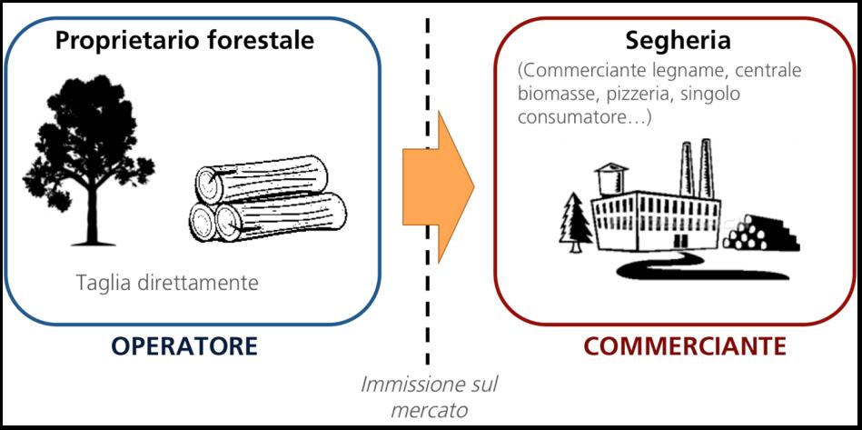 Caso 2 Il proprietario forestale Z (pubblico o privato) vende alla segheria o altra industria del legno denominata impresa A i diritti a utilizzare il bosco (di proprietà Z) sito all interno dell UE.