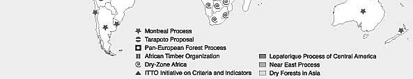 del processo Pan europeo Bilancio Superficie forestale i tra incremento Provvigione
