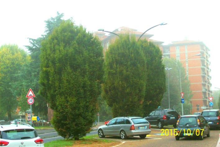 proseguono fino alla rotonda (Foto 5), mentre sulla destra, di fronte al civico n.