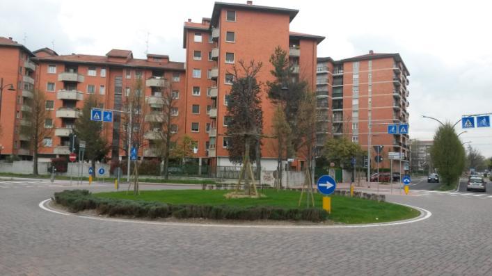 Foto 5 Foto 6 Anche al centro della rotonda si stagliano tre giovani Carpini ed un Platano di foggia originale appena messi a dimora