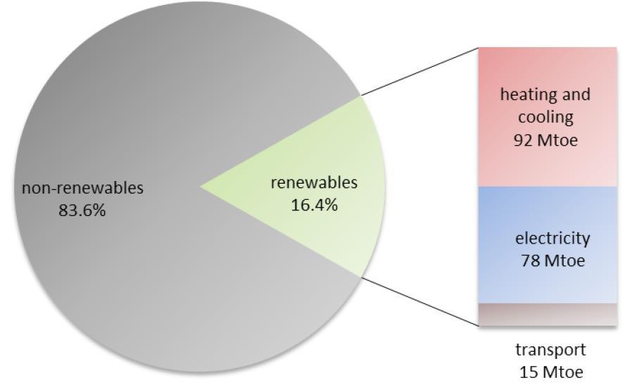 Consumo finale di energia