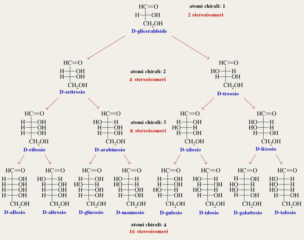 Gli aldosi con n atomi di carbonio asimmetrici possono