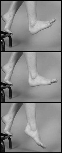 Flessione dorsale e flessione plantare del piede Stima dell angolo di flesso-estensione dell anca Flessione dorsale (+) Dati: p [x y ] θ c p G [x G y G ] Posizione neutra G tg - (x - x G )/ (y - y G