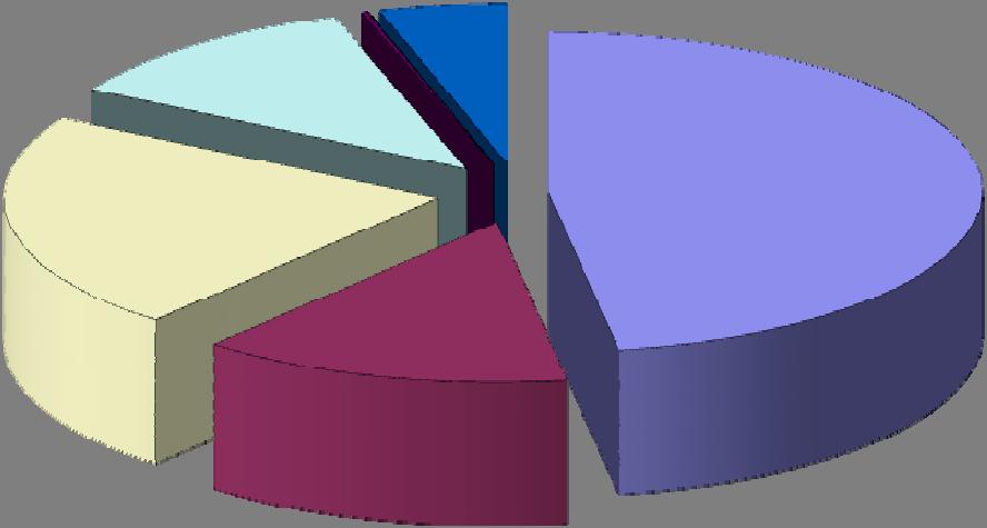 Pagina 5 Numero 20 Composizione del patrimonio complessivo al 30.6.