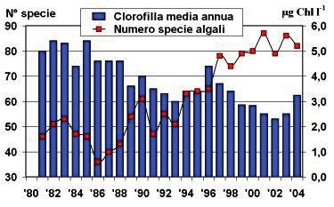 4 di 8 11/06/2015 14:39 Fig. 3. Lago Maggiore. Andamento della clorofilla (valori medi annuali) e del numero di specie di fitoplancton dal 1981 al 2004. Fig. 4. Lago Maggiore. Andamento del pescato professionale annuale dal 1979 al 1995.