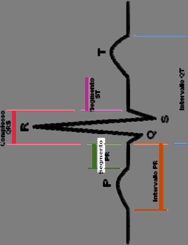 RITMO SINUSALE Per ritmo sinusale si intende