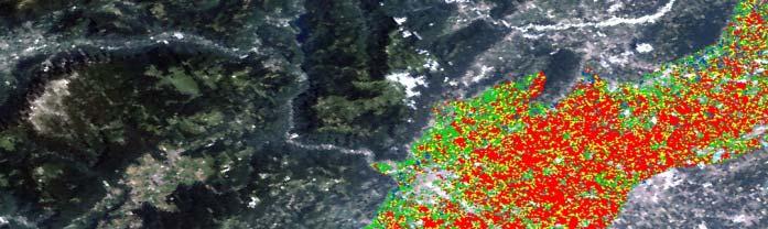 Conclusioni Costruzione di un modello di bilancio idrico colturale tarato sulle