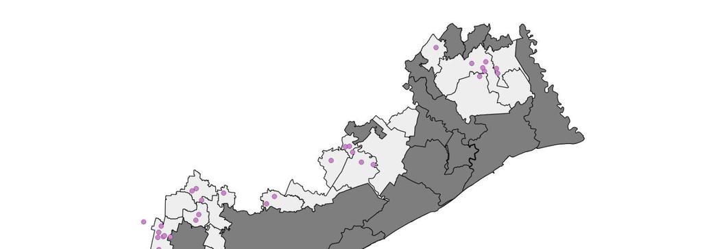 Interventi di laminazione Comune Totale Campagna Lupia 3 Campolongo Maggiore 5