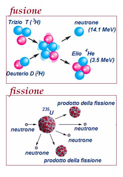 La fusione nucleare - È una reazione nucleare in cui due nuclei di elementi leggeri (es.