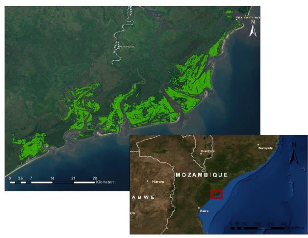 Sustainable Financing of Protected Area System in Mozambique