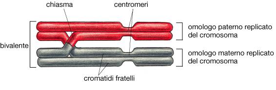 asimmetrica!