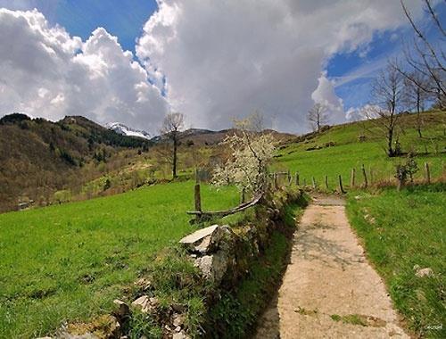 SCHEDA: 6 PROVINCIA: GENOVA; COMUNE: SANTO STEFANO D AVETO; LOCALITÀ: AMBORZASCO; AFFITTUARIO/ PROPIETARIO: FOCACCI;