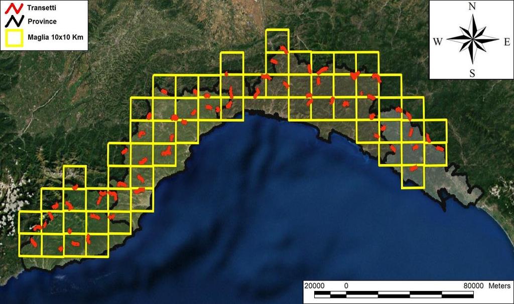 Lo schema di monitoraggio, che rispecchia quello degli anni precedenti, ha seguito il metodo del Tessellation Stratified Sampling (TSS; Barabesi & Franceschini, 2011).