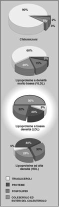 Il rapporto tra il colesterolo associato alle LDL e quello associato alle HDL può essere utilizzato per valutare la suscettibilità allo sviluppo di cardiopatie.