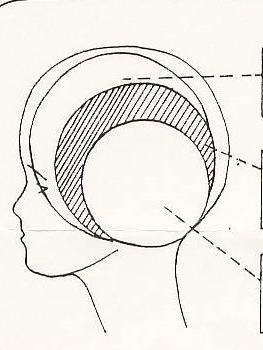 C Rapporti tra maturazione del cervello e apprendimento L R Maturazione (dal basso verso l alto) Corteccia cerebrale