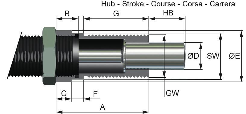 fino a 15 senza pezzi aggiuntivi inclusa testina d urto in acciaio ØD F DIMENSIONI WS-M 0,5x19-0/1/2/3/4 WP-M 0,5x19-1/2/3 M 20 x 1,0 1 ød