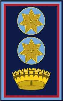 anni (profilo dorato + 1 corona + 1 stella robbio azzurro) Figura 40 - Dirigente di polizia