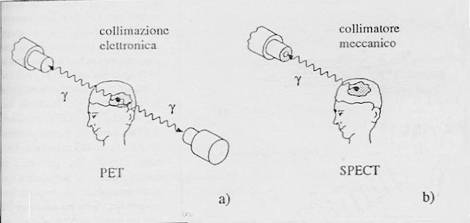 PET Positron Emission Computer Tomography Tomografia Computerizzata ad emissione di due fotoni Utilizza radionuclidi β+ emittenti: il positrone (e+) generato dal radionuclide