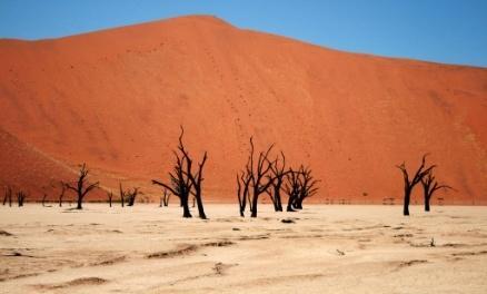 cambiamenti di colore, contrasti ed ombre.