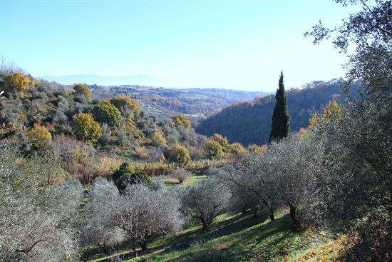 000,00 Area Comune Provincia Regione Nazione Castelnuovo di Porto Roma Lazio Italia