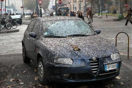 casi può essere pericolosa per l'uomo (zoonosi) o essere dannosa per alcune attività umane come ad esempio la peste suina