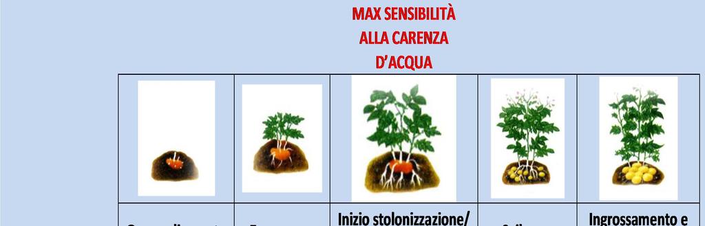 Importanza della gestione idrica