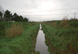 98 - Fosso Riomerdancio Il Fosso ha un lunghezza di 8 km e risulta compreso per 3 km nel comune di Campiglia Marittima e per 5 km nel comune di Suvereto. È affluente del Fiume Cornia.