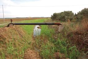 5 - Fosso Acquaviva Il corso d acqua si sviluppa per una lunghezza totale di 9 km, dei quali 4 km ricadenti nel comune di Campiglia Marittima e i restanti 5 km nel comune di Piombino.