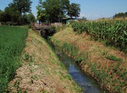 49 - Fosso Marignano Il Fosso Marignano ha una lunghezza di 3 km tutti ricadenti nel comune di Collesalvetti.