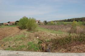 5- Fosso Valle Lunga di Suese Il corso d acqua si sviluppa per una lunghezza totale di 5 km, interamente ricadenti nel comune di Livorno. È affluente del Torrente Ugione.