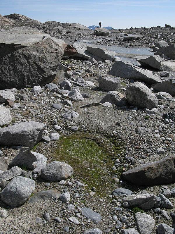 Poco a valle della fronte, i depositi morenici sciolti liberati dal