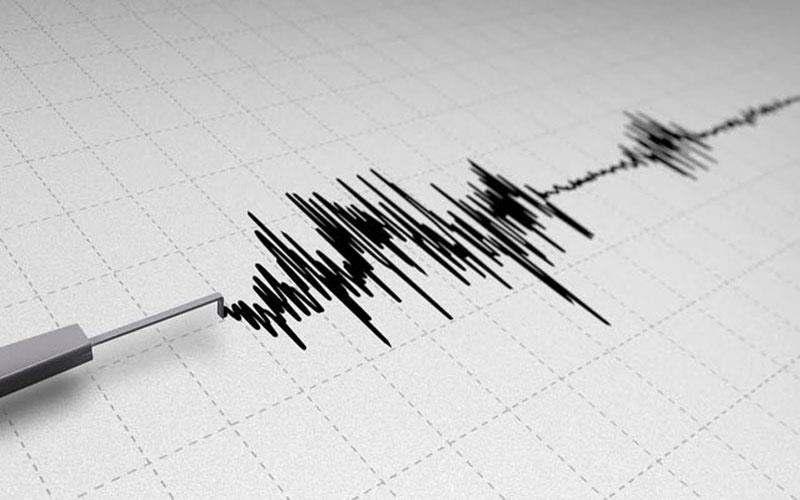 I terremoti Sono degli scuotimenti improvvisi della crosta terrestre dovuti a un improvvisa liberazione di energia in