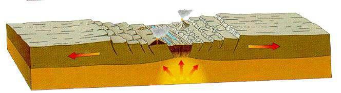 I margini divergenti Si hanno quando due placche oceaniche o continentali