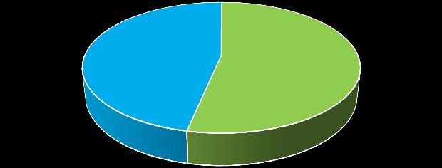 9%) SONO STATE CLASSIFICATE COME B3 (196 DONNE: ETÀ MEDIA 56±13 ANNI) 40% 46% 54% 60% SC NO SC TRU-CUT VAB Il 40 % (78) dei B3 è stata riscontrate