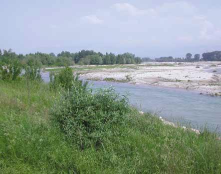 irrigazione, produzione di energia) del Consorzio. Con l occasione si è trattato, più in generale, l argomento dell adaquar le campagne, tra fiume e territorio, tra storia e attualità.