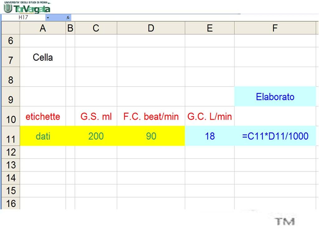 Schema logico Gittata sistolica e frequenza cardiaca di centinaia di pazienti G. C G. S.* F. C. Operazioni da svolgere G. C. G. C. media Num.