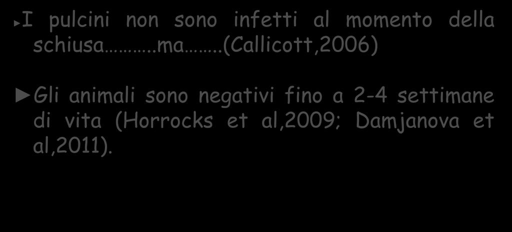 .(callicott,2006) Gli animali sono negativi