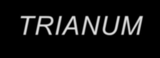 DA RICORDARE CHE TRIANUM Non è la soluzione a tutti i problemi radicali Trianum