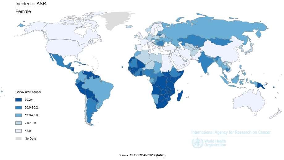 Stima dei tassi di incidenza - 2012 (tassi
