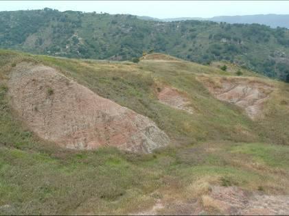 Argille Varicolori Le Argille Varicolori, all interno del bacino di forearc, si ritrovano generalmente stratigraficamente interposte tra la Formazione di Stilo Capo d'orlando (Chattiano