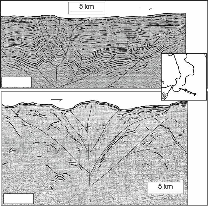 Figura 78 Profilo sismico in off-shore raffigurante la Faglia Bovalino-Bagnara avente orientazione NO-SE e cinematismo trascorrente sinistro.del Ben et al., 2008.