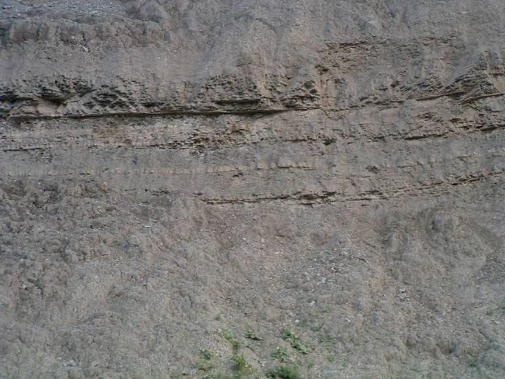 Al di sopra delle Sabbie di Scala Coeli, a nord dell abitato e fino al F. Nicà poggiano nuovamente le argille tortoniane per uno spessore di poche decine di metri.